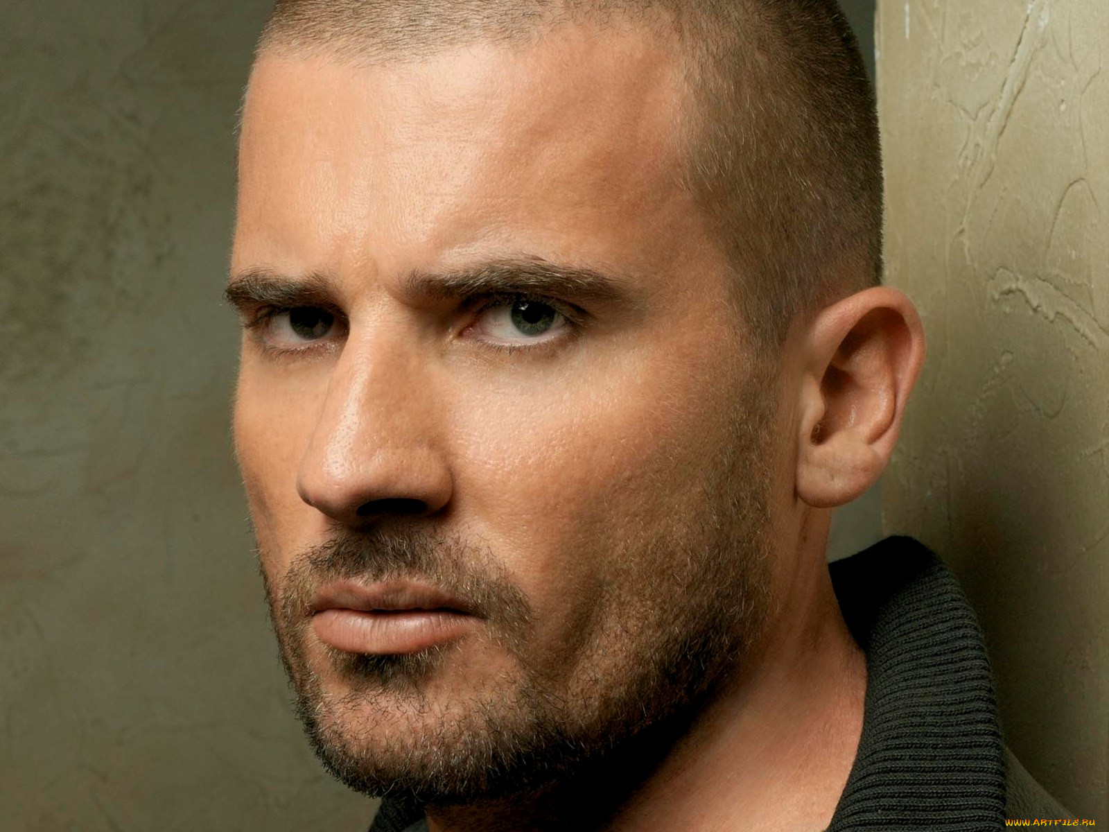 dominic, purcell, 